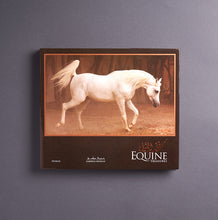 Load image into Gallery viewer, EQUINE TREASURES