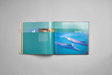 Load image into Gallery viewer, HAWAR ISLANDS