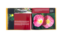 Load image into Gallery viewer, Exotic Perennials & Annuals