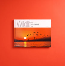 Load image into Gallery viewer, WILDLIFE OF BAHRAIN