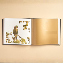 Load image into Gallery viewer, Birds of Dilmun

