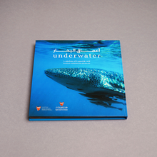 Load image into Gallery viewer, Underwater Revealed
