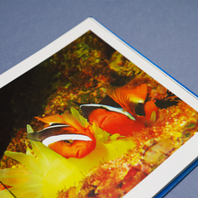 Load image into Gallery viewer, Underwater Revealed
