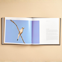 Load image into Gallery viewer, Birds of Dilmun
