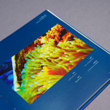 Load image into Gallery viewer, Underwater Revealed
