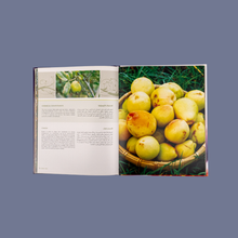 Load image into Gallery viewer, Fruits of Bahrain
