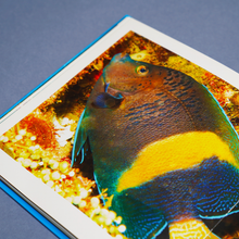 Load image into Gallery viewer, Underwater Revealed
